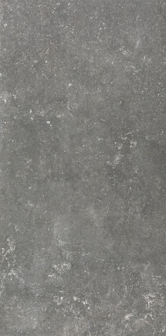 CHARME SABLE R10_B 60X120 R