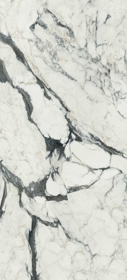 CALAC ALTISSIMO MAT 6MM 60X120 R