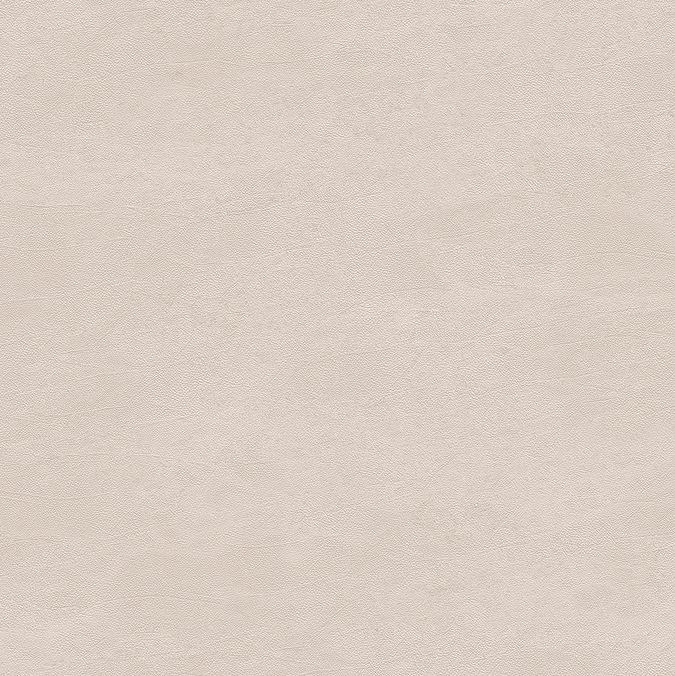 RADICI BEIGE MAT 6MM 120X240R
