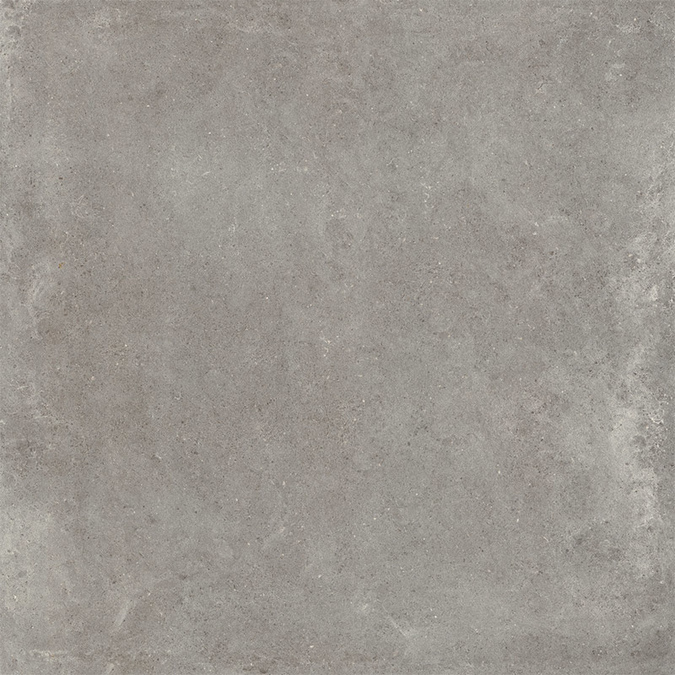 Grey In 60x60 Rett R10