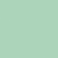 41 Mint 11.55x11.55