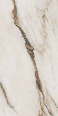 Mix Sizes Calacatta Vena Oro nat R30X60