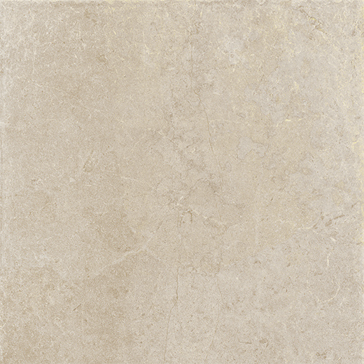 Greige Satin 60x60