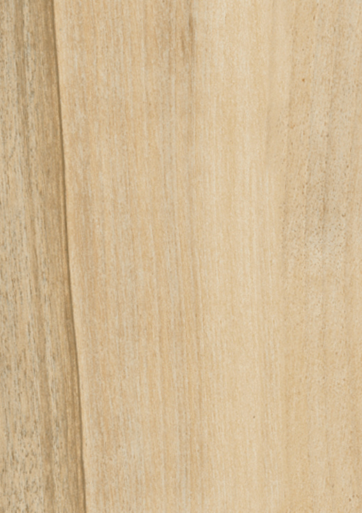 Miele Chevron 15x90