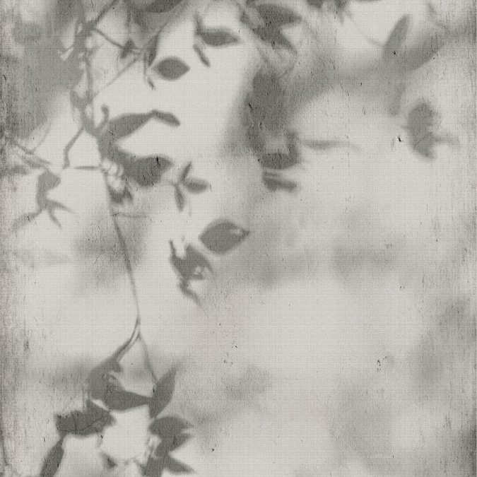 SHADOW 120x280