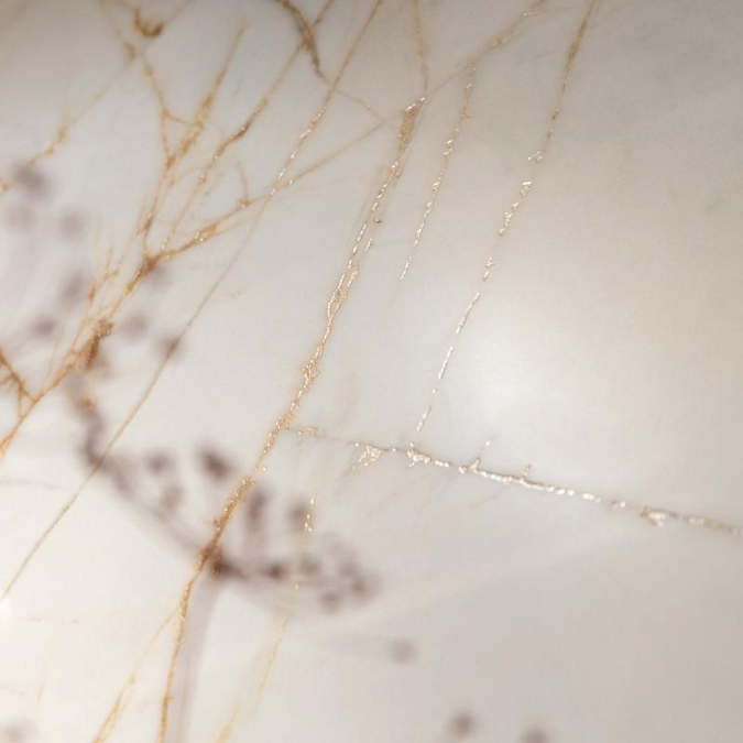 Golden Spider 60x120 Lux