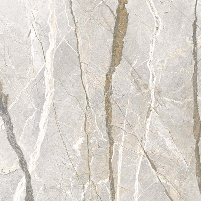 Silver Roots 60x120 Nat
