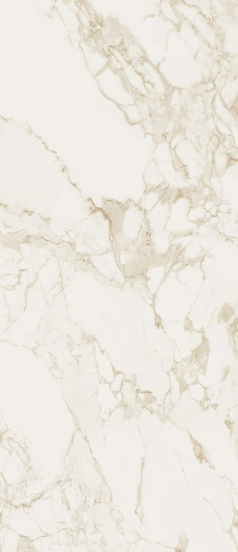 Calacatta Silk 120x278