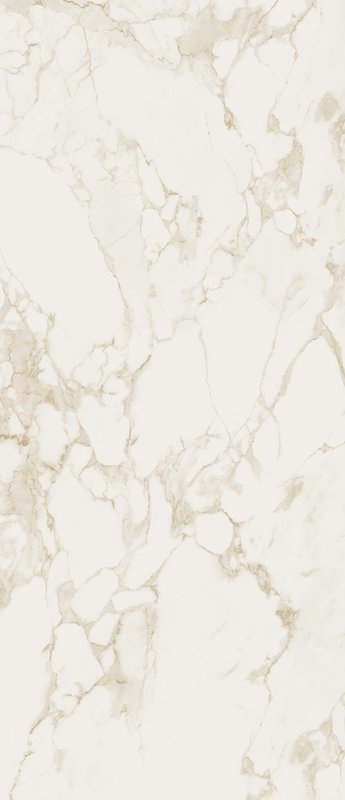 Calacatta Brill 120x278
