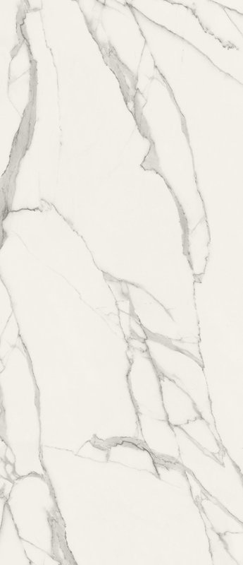 Statuario Brill 120x278