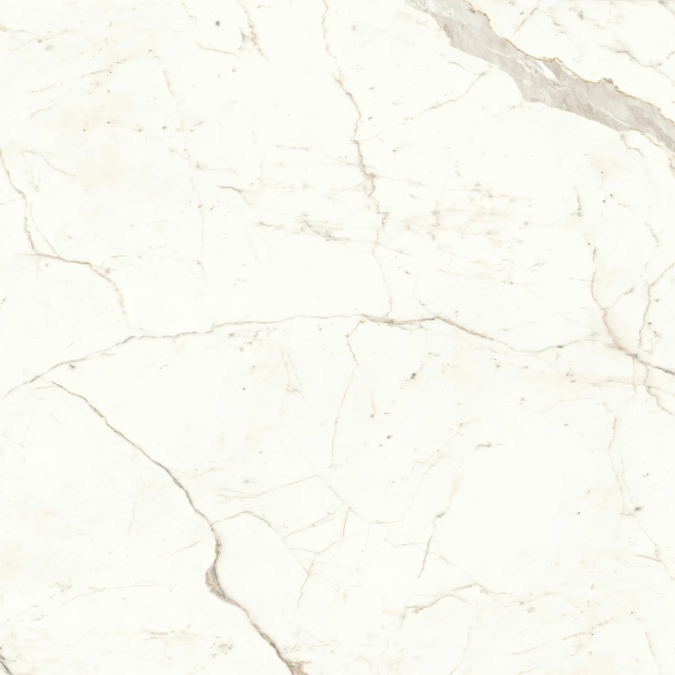 Calacatta Prestigio 160x160 Lappato