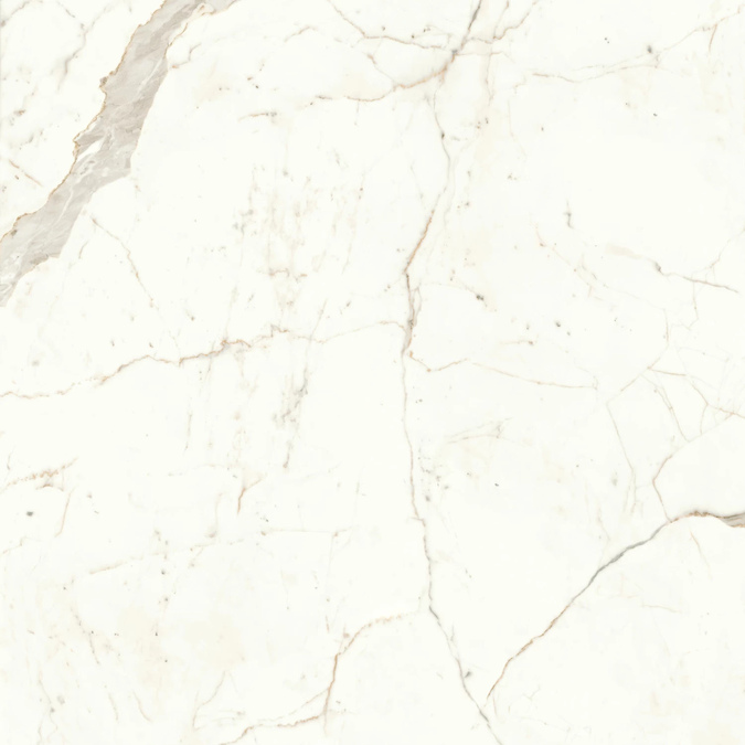 Calacatta Prestigio 120x120 Matt