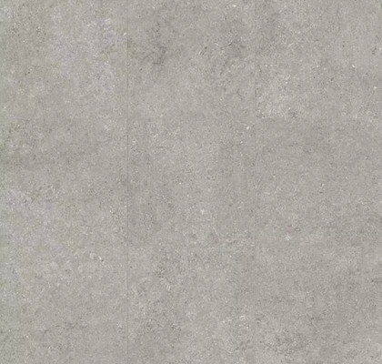 GREY FOSSIL R+PTV 60X120 RET