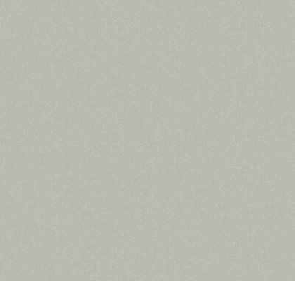 OLD LACE NAT 6MM 40X120R