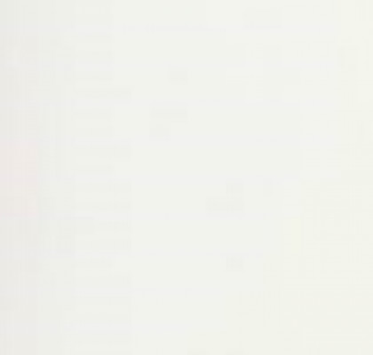 WHITE NATURALE 6MM 60X120 RET
