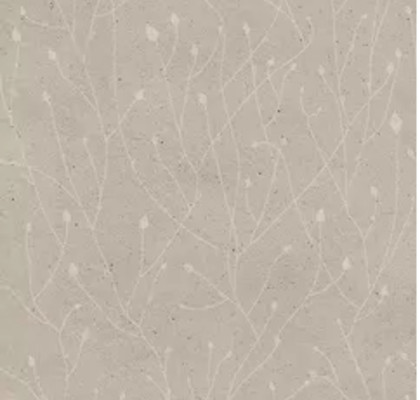 D. FRONDS B1_DES_GR COM.6MM60X120R