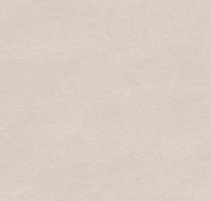 RADICI BEIGE MAT 6MM 120X120R