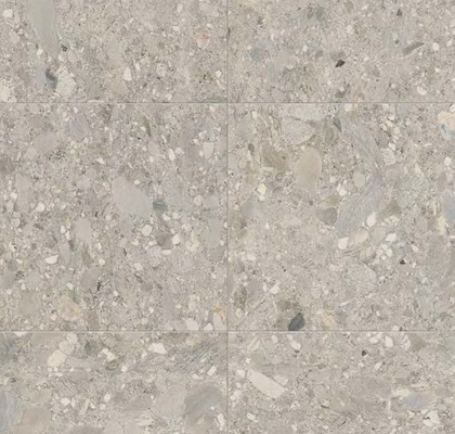 Ceppo Grigio 120x120 Rett
