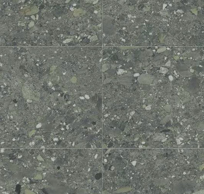 Ceppo Verde 30x60 Rett