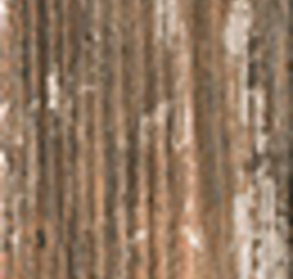 SASSAFRAS 15x90