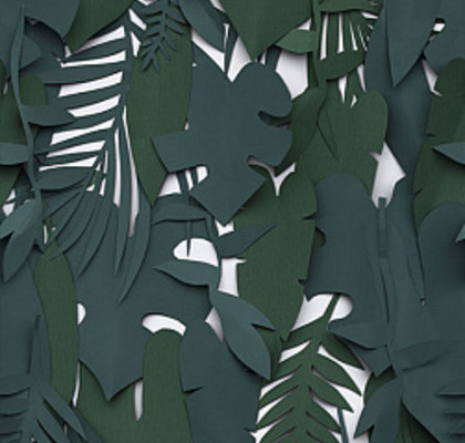 Midori 50x100