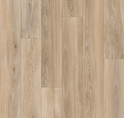 Naturale ret 20x120