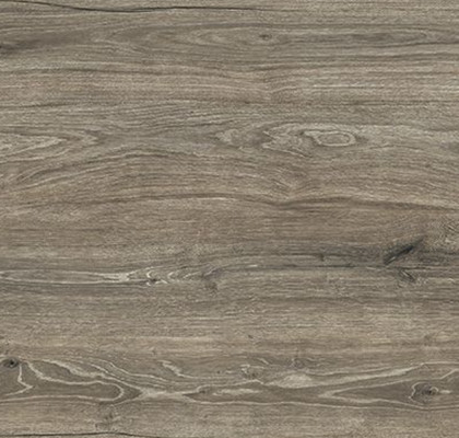 Timber Rettificato 20x120