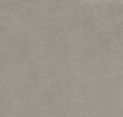Dark Grey Naturale 60x120