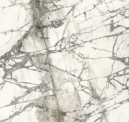 Calacatta Grey Prelucidato 150x300