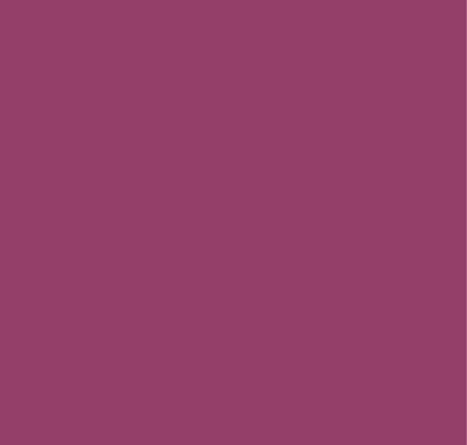 Lila-16 D 43