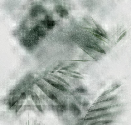 BEYOND 60x120