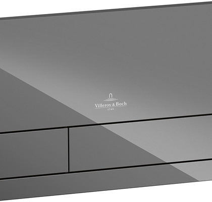 Кнопка для инсталляции Villeroy&Boch VICONNECT 922400RA