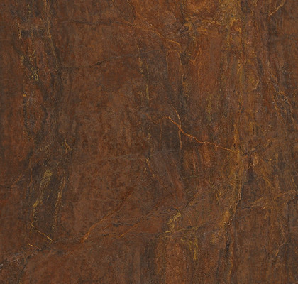 Bronzite  Natural Plus 60х60