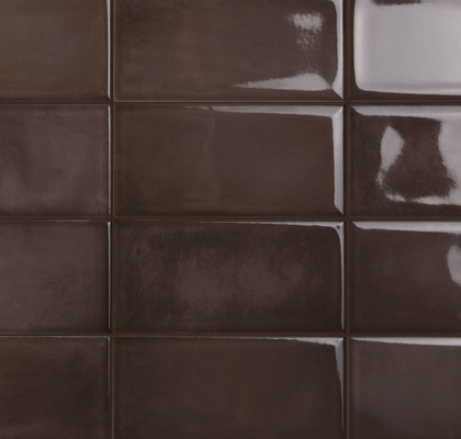 Be In Brown 10x20