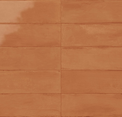 Semigres Cotto Glossy 7,5х30
