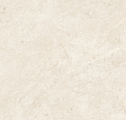 Victorian Stone 60x120