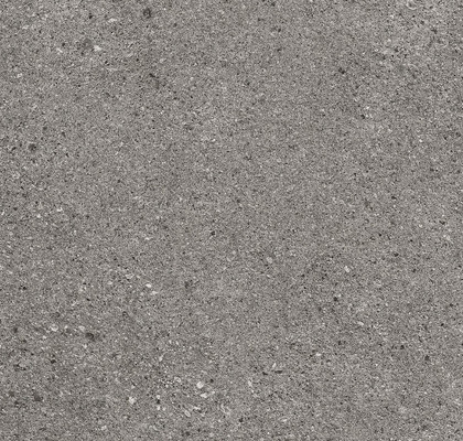 Victorian Stone 60x120