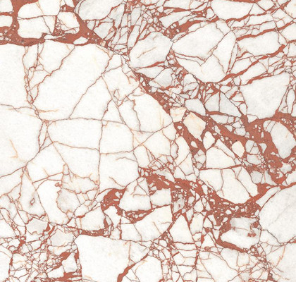 Calacata Dante 60x120 Matt