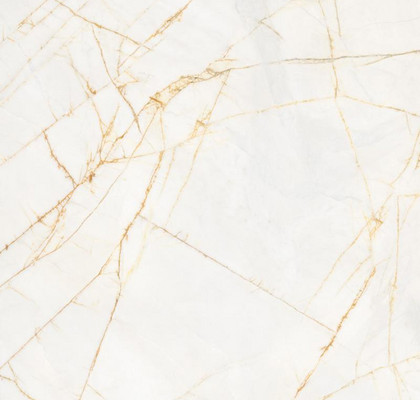 Golden Spider 60x120 Matt