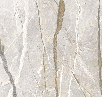Silver Roots 60x120 Nat