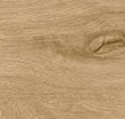 Roots 20x180