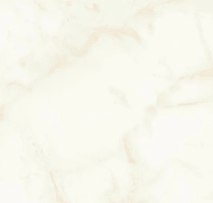 Calacatta Delicato 50x120 Silk