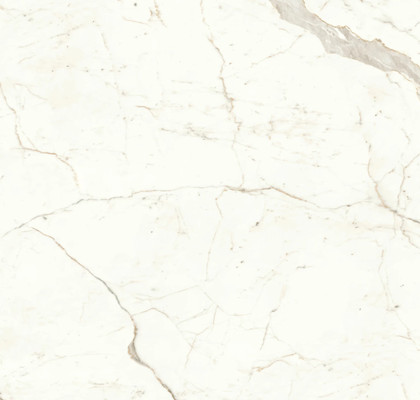 Calacatta Prestigio 160x160 Lappato