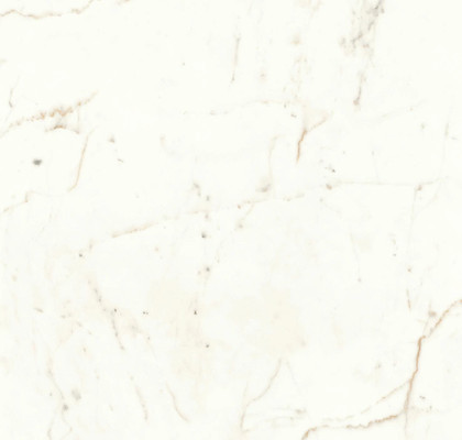 Calacatta Prestigio 60x60 Lappato