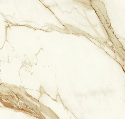Calacatta Imperiale 60x60 Lappato