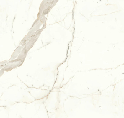Calacatta Prestigio 75x150 Silk