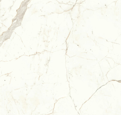 Calacatta Prestigio 120x120 Matt