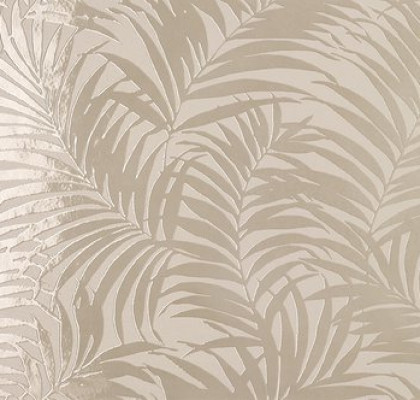 Tropical Sabbia 50x120