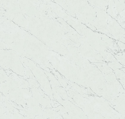 Carrara Pure 120x120 Lappato
