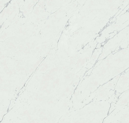 Carrara Pure 60x60